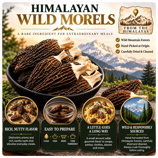 Premium Wild Morel Mushrooms — Rich Flavor for Gourmet Meals-yan