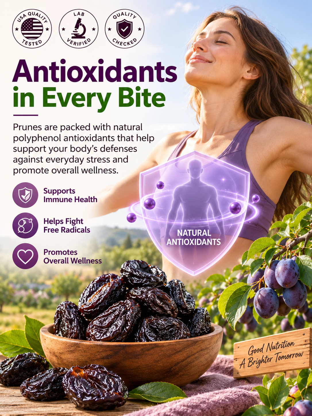 Premium Imported French Prunes, Sun‑Dried Gourmet Dried Fruit, No Added Sugar & Preservatives, Healthy Daily Snack-JT9